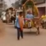 बैलगाड़ियों में बाराती लेकर पहुंचा दूल्हा, ये सादगी लोगों को भा रहा